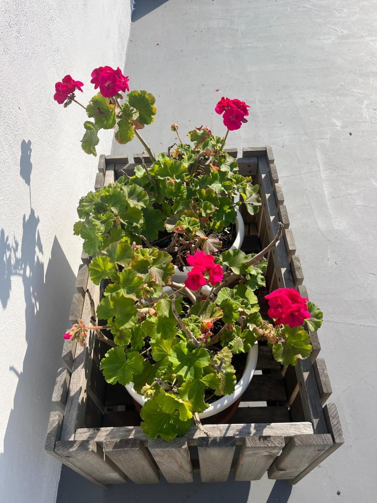 Monteverde Double Terrace Penthouse Rome Exterior photo